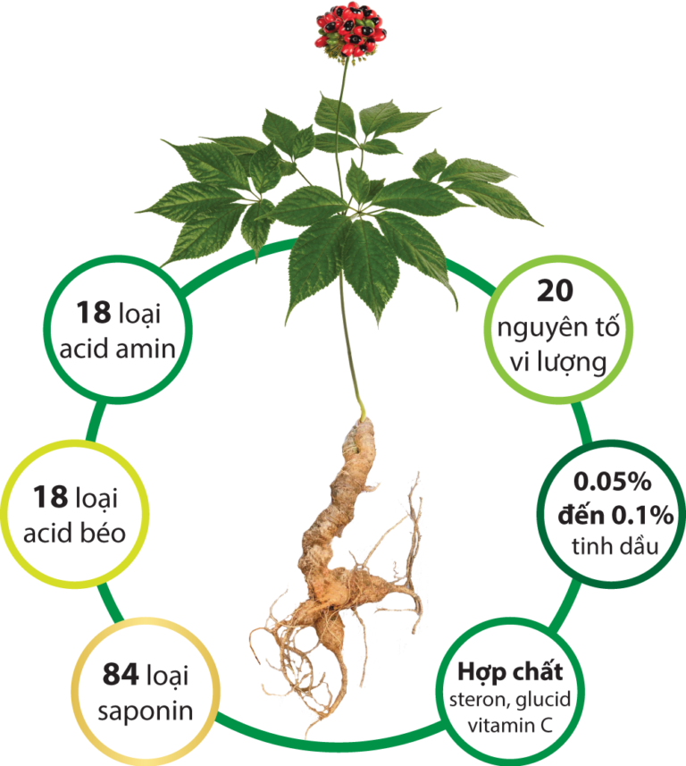 Hình ảnh sản phẩm