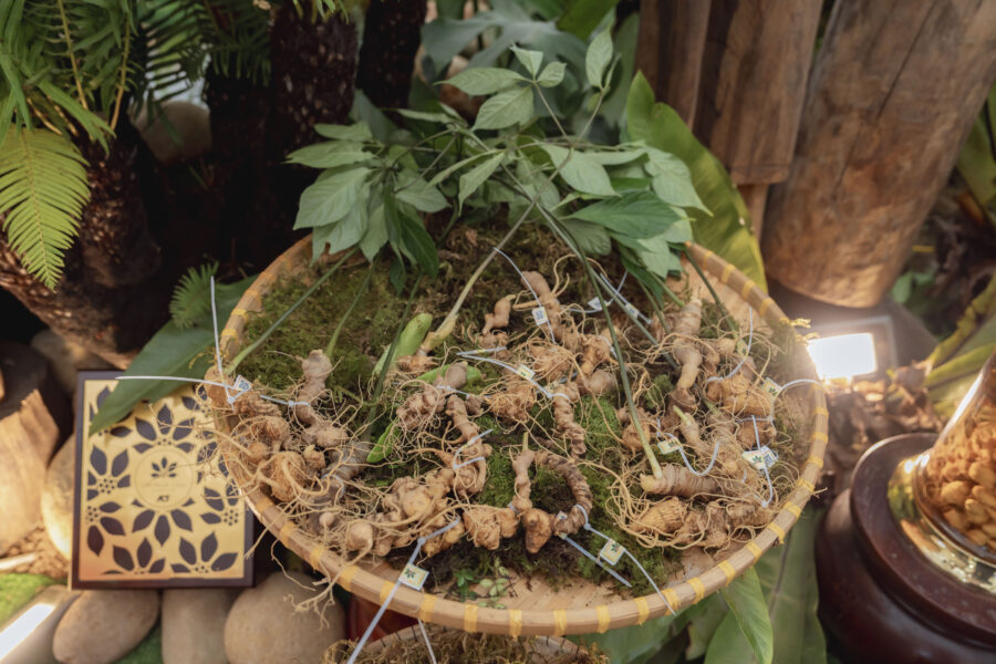 Hiệu Quả Mỗi Ngày